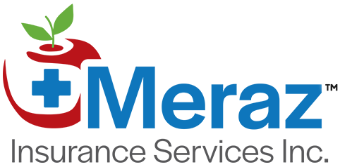 Meraz Insurance Services Inc.